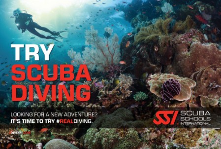 Try scuba diving image