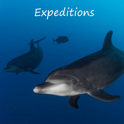 expeditions image