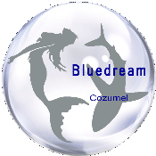 bluedream logo