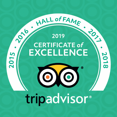 tripadvisor excellence certificate